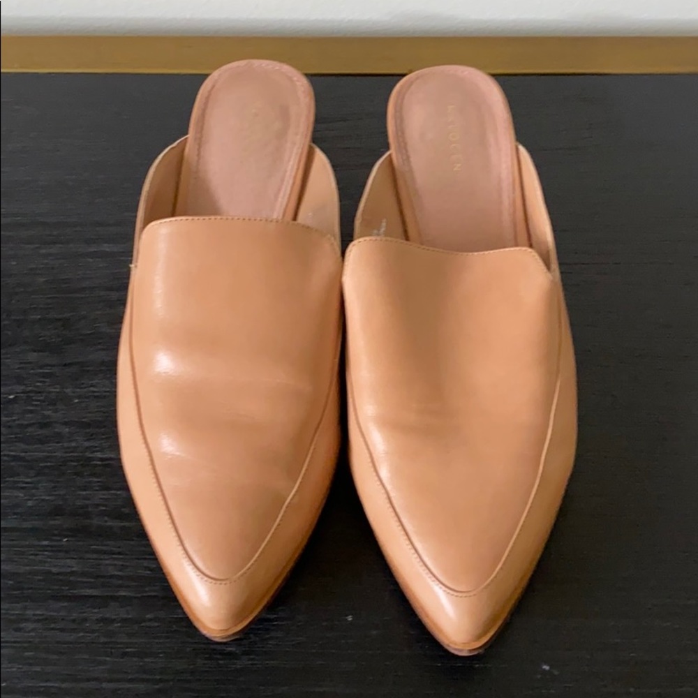 Halogen slides size 8.5